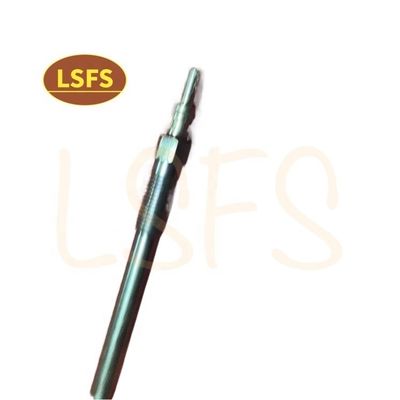OEM NO C00046448 Auto Engine Parts Heater Plug Glow Plug For Maxus LDV V80 VI