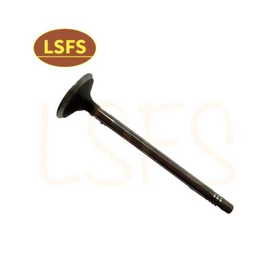 G10 MPV Customized Intake Valve for Maxus D90 G20 T60 OEM C00111120