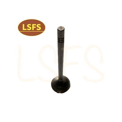 G10 MPV Customized Intake Valve for Maxus D90 G20 T60 OEM C00111120